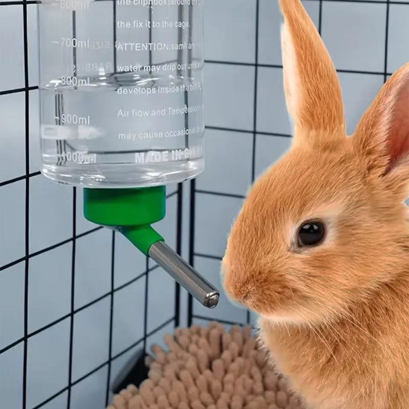 Beverino automatico 500ml installato sulla gabbia di un piccolo animale