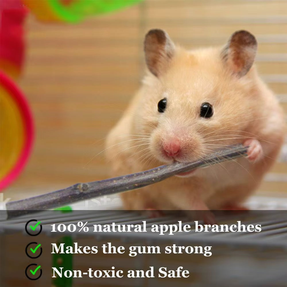 Bastoncino naturale senza coloranti né additivi per piccoli roditori