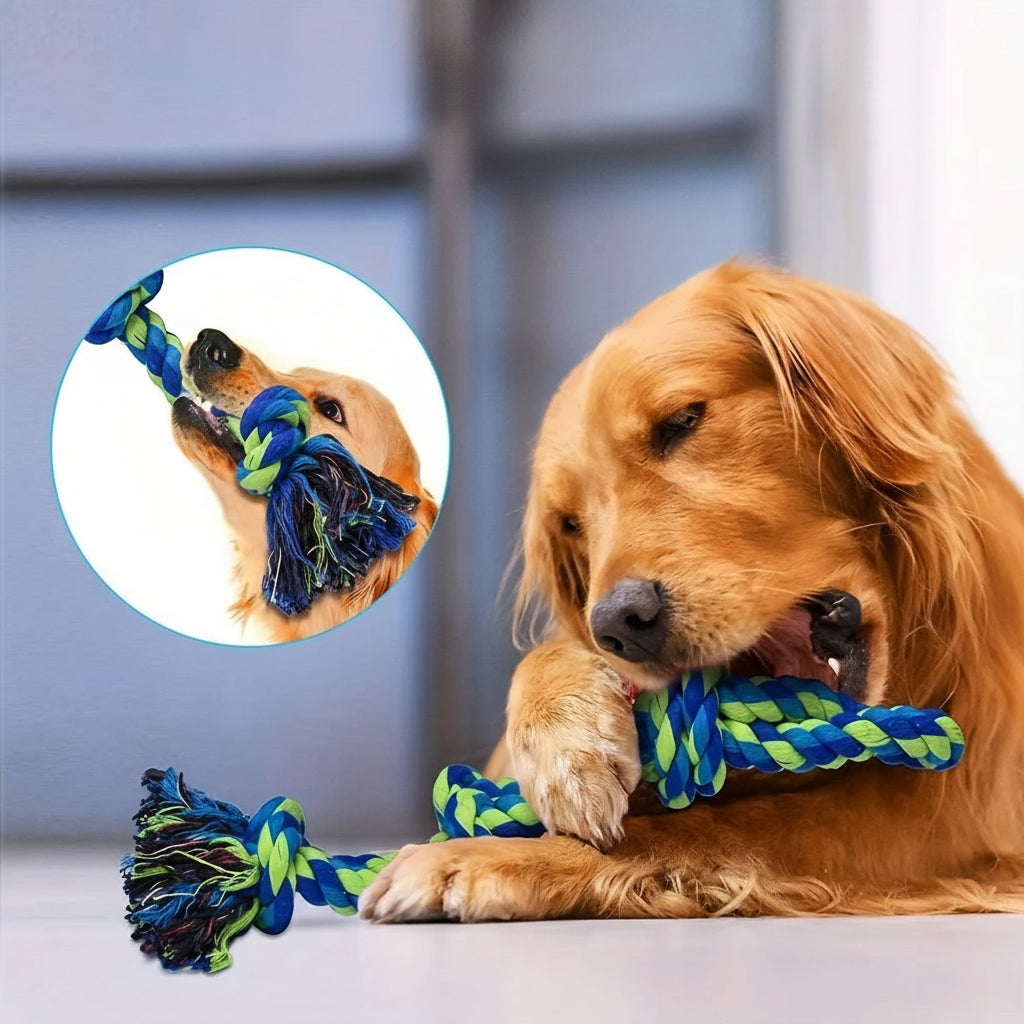 Gioco con corda per cani