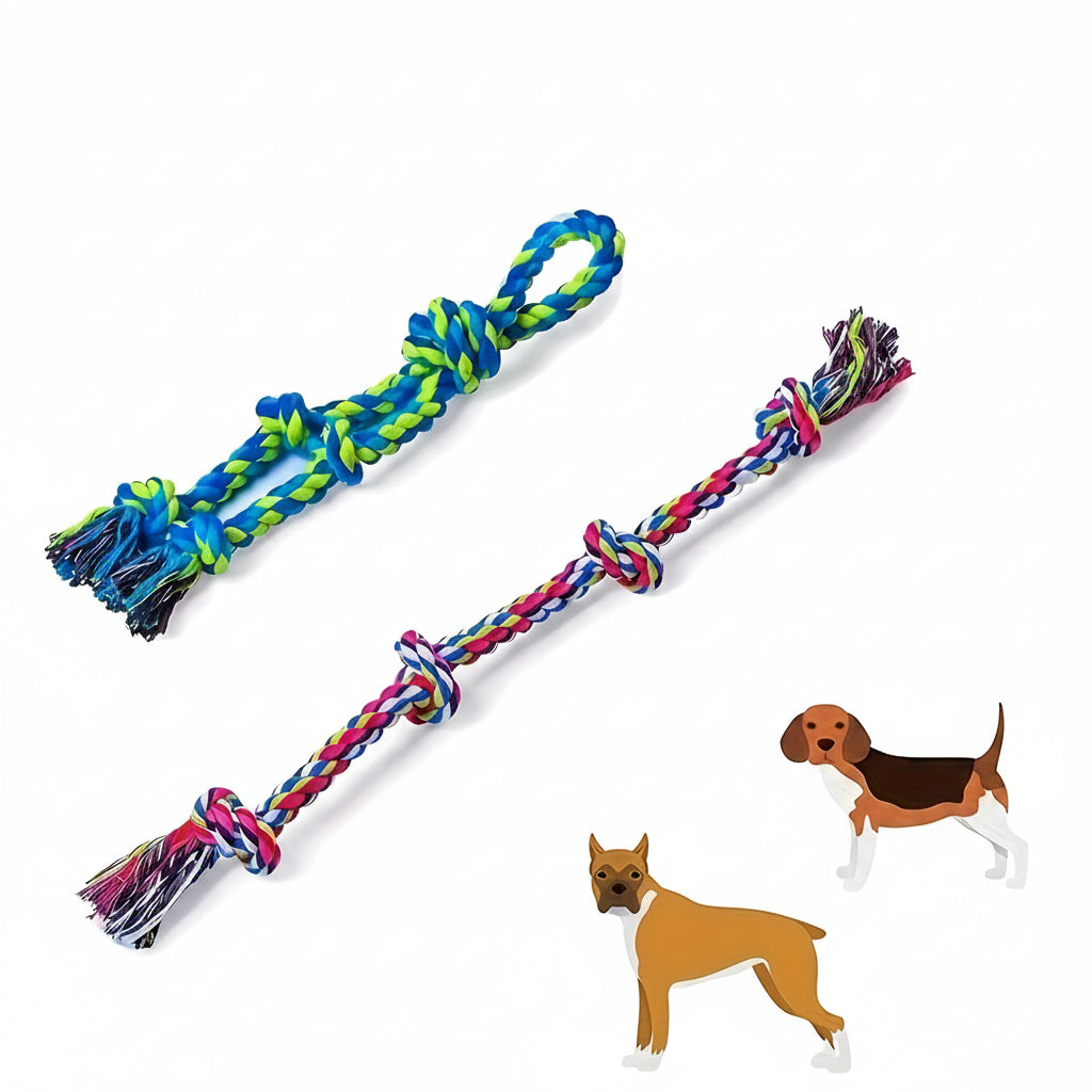 Gioco con corda per cani