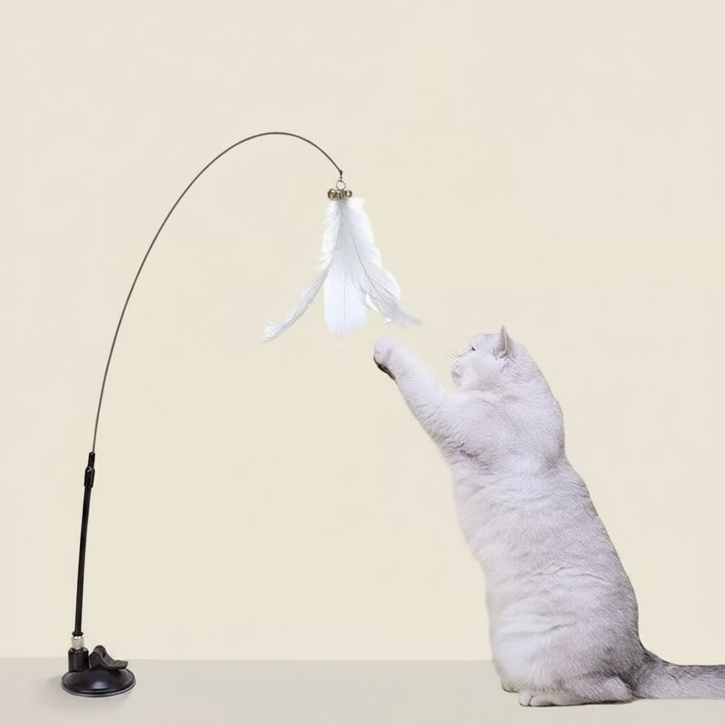 Gioco per gatti con base e piuma