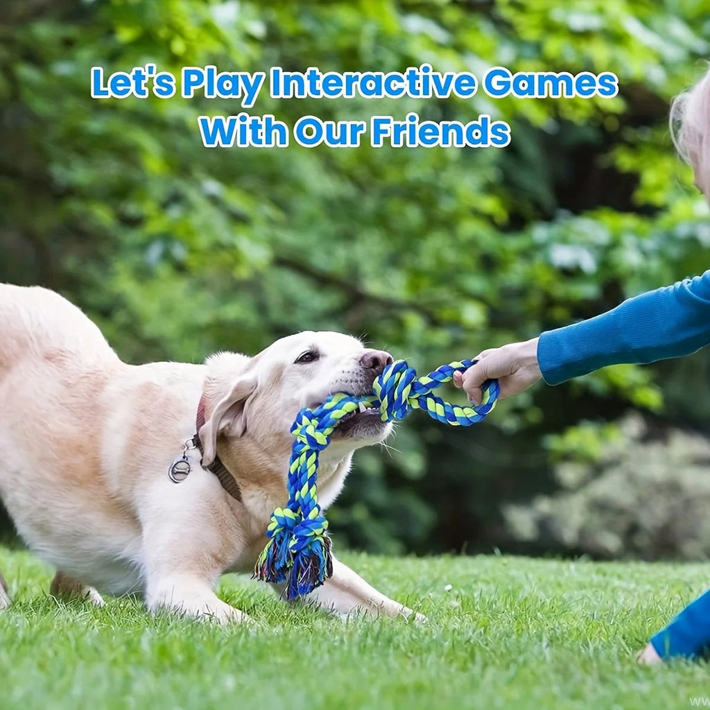 Gioco con corda per cani