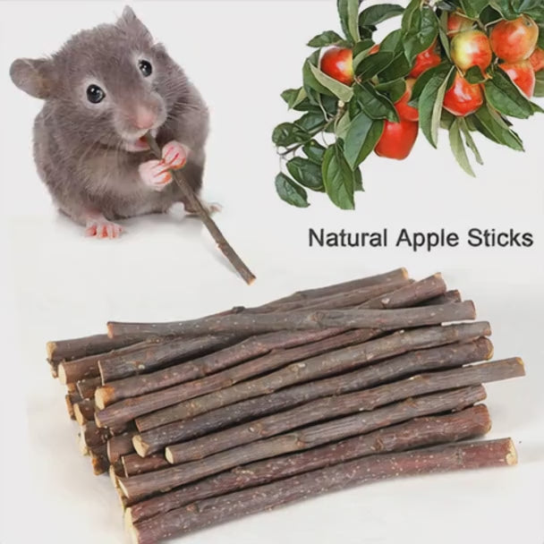 Bastoncino Rosicchiabile Naturale per Roditori